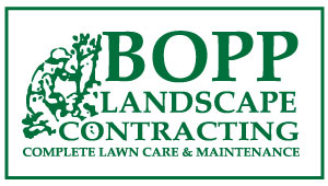 Bopp Landscape