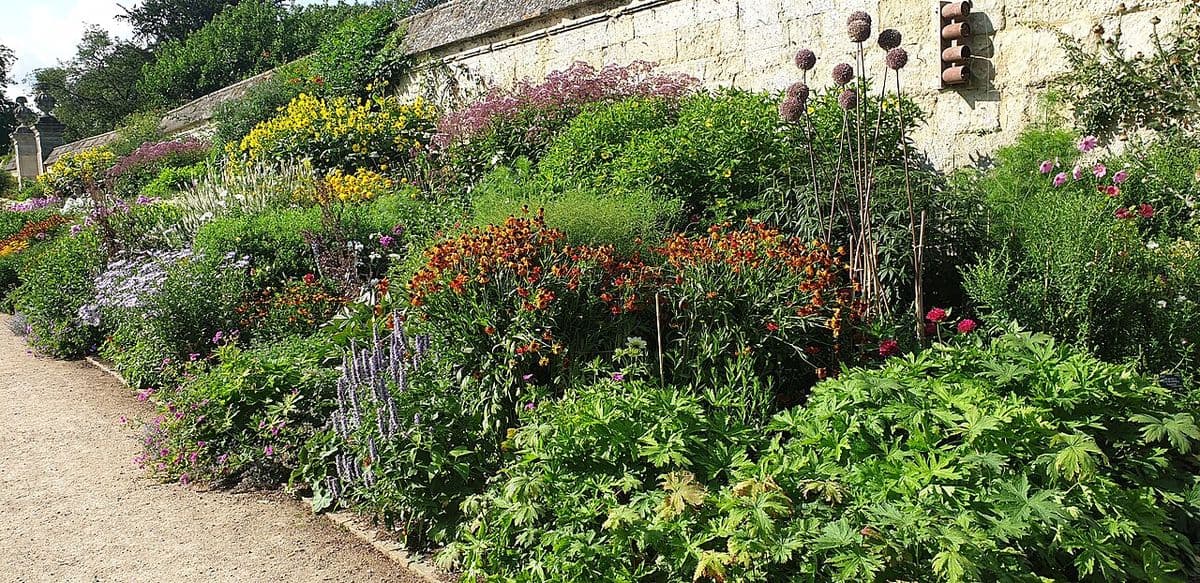 A flower border in full bloom along a stone wall